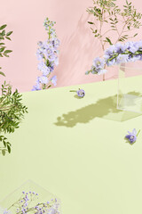 Spring-inspired minimalist backdrop with geometric shapes and natural flowers