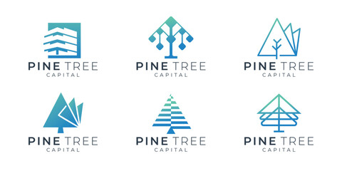 set collection of pine tree logo design template inspiration. modern minimalist tree, pine linear style concept.