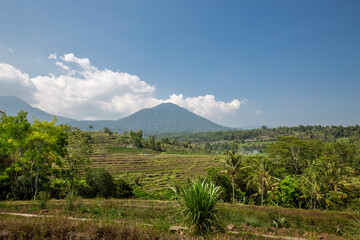Obraz premium Rice Terraces in North Bali