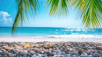 beautiful tropical beach with palm leaves on a sunny day, vacation background