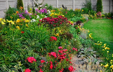 Pysznogłówka, liliowce, róże i floksy wiechowate w ogrodzie, Monarda didyma, Hemerocallis,...