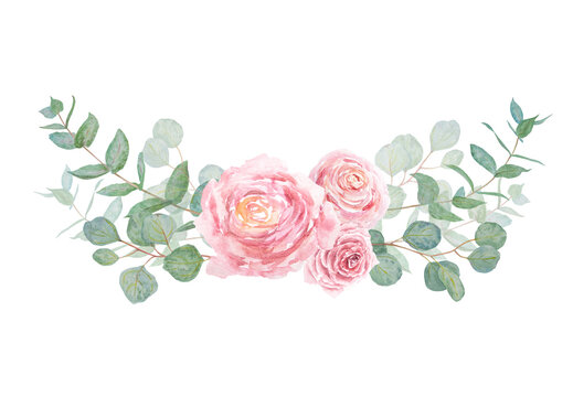 Eucalyptus and roses branch watercolor hand drawn floral illustration. Botanical painting of greenery leaves, pink flowers. Good as an element of wedding invitations, prints, greetings, textile