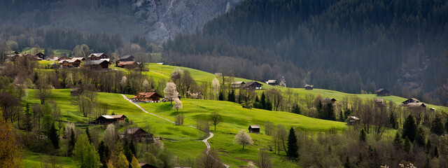 Mountains, Bort, Grindelwald, Bernese Oberland, Switzerland (4).jpg
