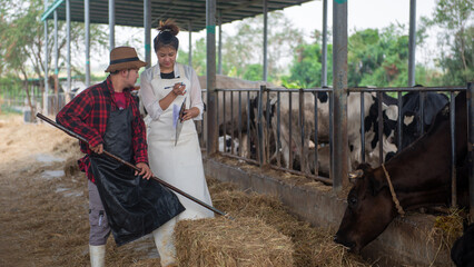Asian farmer couple Discuss the health of the dairy cows in the pen.