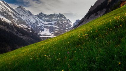 Mountains - Gimmelwald, Bernese Oberland, Switzerland (4).jpg