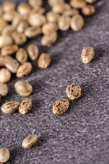 Cannabis seeds of medical hemp plant on dark stone board.