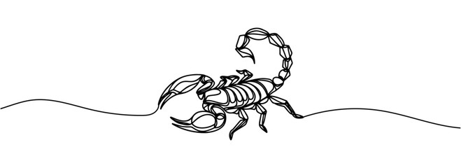 scorpion one line drawing, sketch, isolated vector.