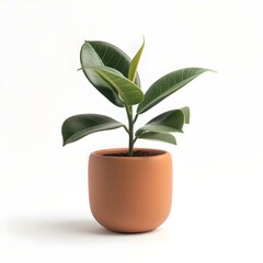 Potted plant on white background. simple elegance. clean minimalistic design. ideal for modern decor. AI