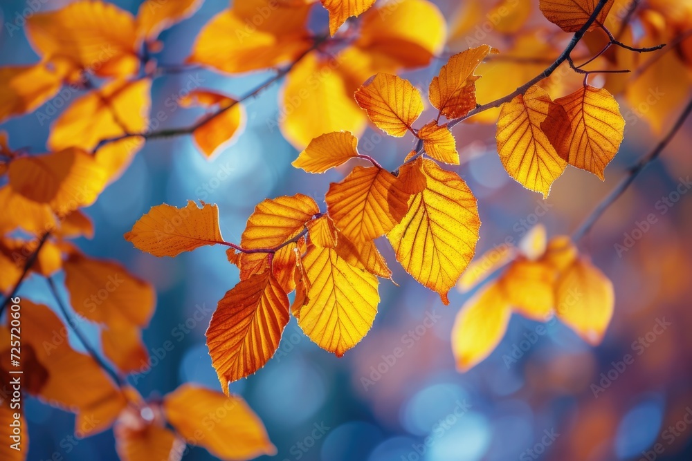 Poster close up view of a tree with vibrant yellow leaves. perfect for autumn-themed projects or nature-ins