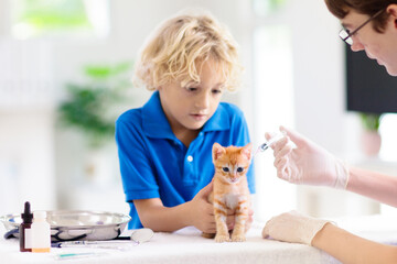 Vet with cat. Kitten at veterinarian doctor.