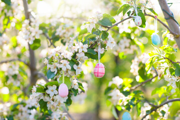 Easter eggs on blooming cherry tree.
