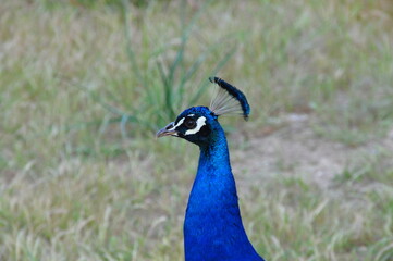 Felerimos auf Rhodos