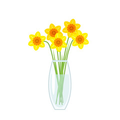 Daffodils in glass vase. Beautiful spring flowers. Vector cartoon flat illustration.