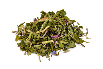 Blooming sally tea, isolated on white background.