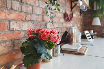 Red begonia plant in a pot on the table. Red brick wall kitchen interior. 