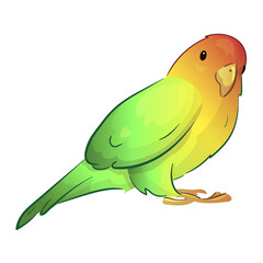 Flat illustration of a pet parrot, illustration with stroke and fill. The parrot is talking. A couple of parrots in love.