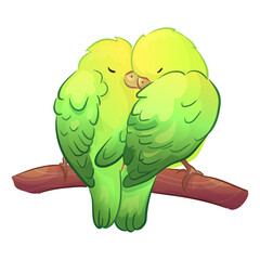 Flat illustration of a pet parrot, illustration with stroke and fill. The parrot is talking. A couple of parrots in love.