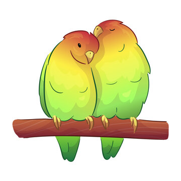 recommend clip art: Flat illustration of a pet parrot, illustration with stroke and fill. The parrot is talking. A couple of parrots in love.