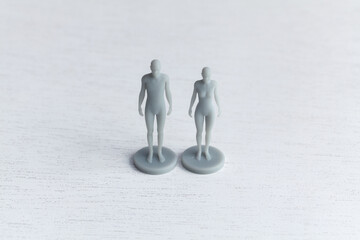 3D Printer models of human, man and woman
- 725743877