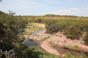 Afrikanischer Busch - Krügerpark - Nhlanganinii River / African Bush - Kruger Park - Nhlanganinii...