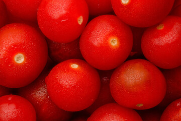red tomatoes background