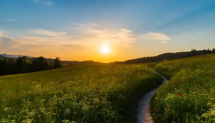 beautiful sunset over green meadow covered with flowers with winding path