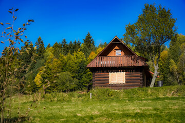 Post and Beam Home in forest