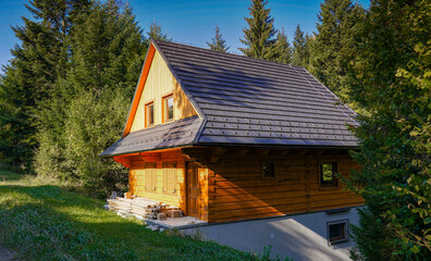 Post and Beam Home in forest