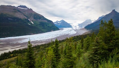 many glacier glacier national park usa