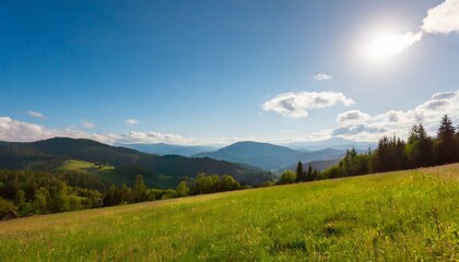 Fototapeta na wymiar mountainous rural landscape on a sunny afternoon forested hills and green grassy meadows in evening light ridge in the distance sunny weather with fluffy clouds on the bright blue sky
