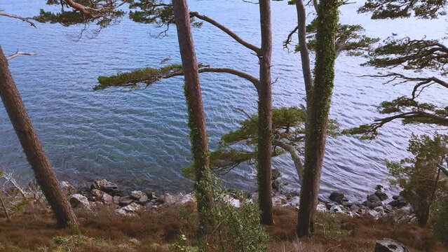 View of beautiful countryside in the Scottish highland with mountains, trees and sea