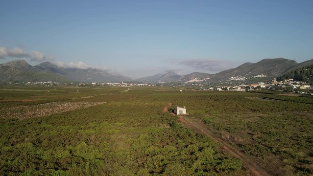The vineyards fields in Lliber village, Alicante,  Costa Blanca, Spain - stock video