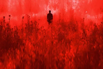Abwaschbare Fototapete Rot Silhouette of a man standing in the middle of a field of poppies