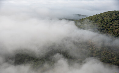 Fototapeta na wymiar Mountain tops covered in a layer of mist and fog at dawn. Nature landscape