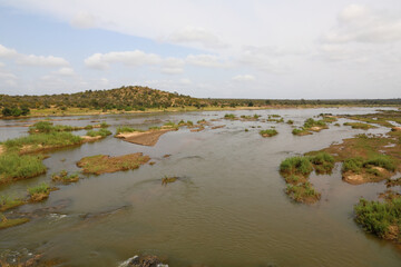 Afrikanischer Busch - Krügerpark - Olifants River / African Bush - Kruger Park - Olifants River /