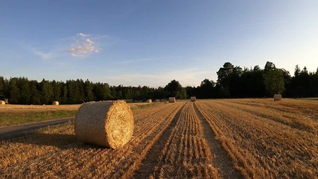 Strohballen auf dem Feld nach der Getreide Ernte