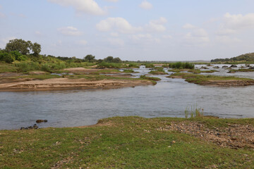 Afrikanischer Busch - Krügerpark - Olifants River / African Bush - Kruger Park - Olifants River /