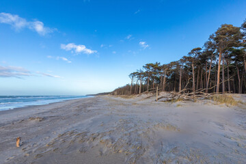 Im Februar am Darsser Weststrand, laut ARTE, einem der schönsten Strände der Welt.