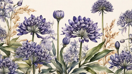 Watercolor illustration of blue Agapanthus flowers on white background. Watercolor painting.