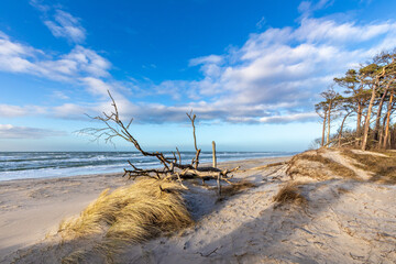 Im Februar am Darsser Weststrand, laut ARTE, einem der schönsten Strände der Welt.
