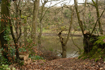 La rivière du Trieux près de Pontrieux - Bretagne France