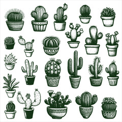 Hand Drawn cactus vector illustration. A set of vector illustration linear cactuses. Cactus vector illustrations. Hand drawn outline cactus set.