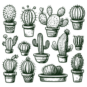 Set of cactuses, hand drawn vector illustration