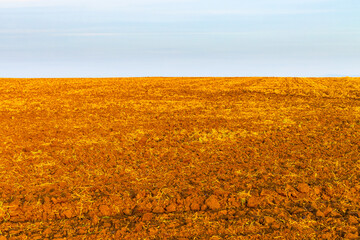 plowed field with fragments of yellow grass.