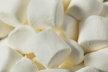 Fototapeta na wymiar Organic Dry Big White Marshmallows