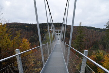 &ldquo;Skywalk&rdquo; suspension bridge near Willingen; Germany; Hesse