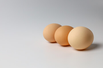 eggs