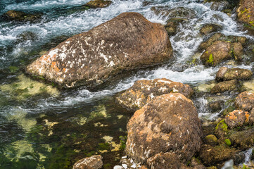 Moos auf den Steinen