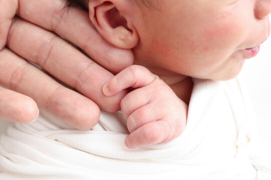 Close-up of baby's small hand, head, ear and palm of mother. Macro Photo of Newborn baby after birth