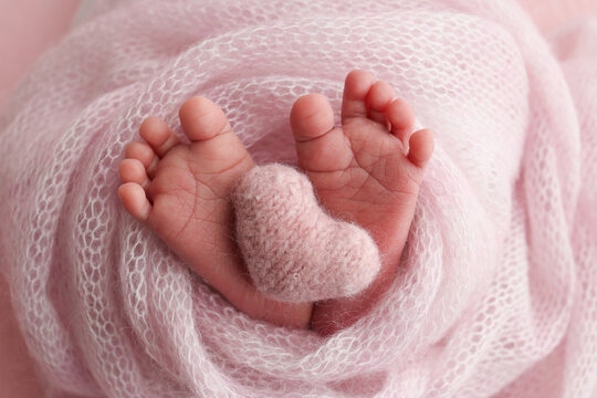 Soft feet of a new born in a pink wool blanket. Close up of toes, heels and feet of a newborn.